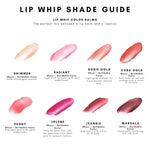 Kari Gran Lip Whip Swatches Guide
