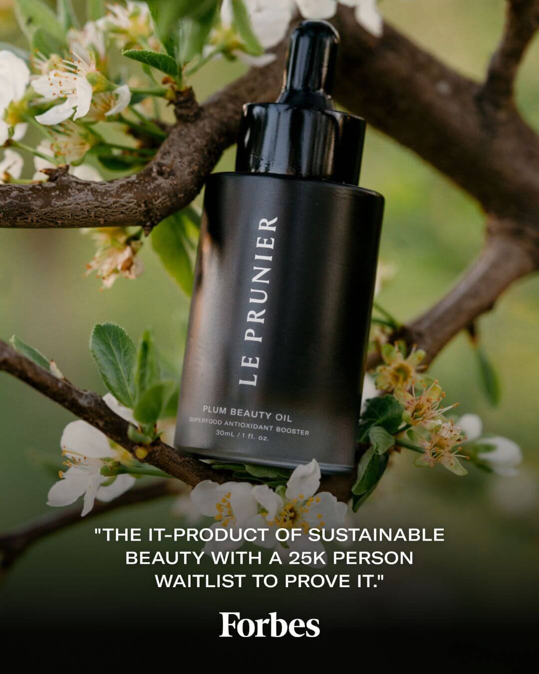 le Prunier Plum Oil Review Forbes magazine