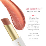 sheer peach lipstick luk beautifood