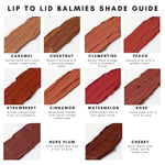 Lip to Lid Balmies shade guide with swatches and names on a white background