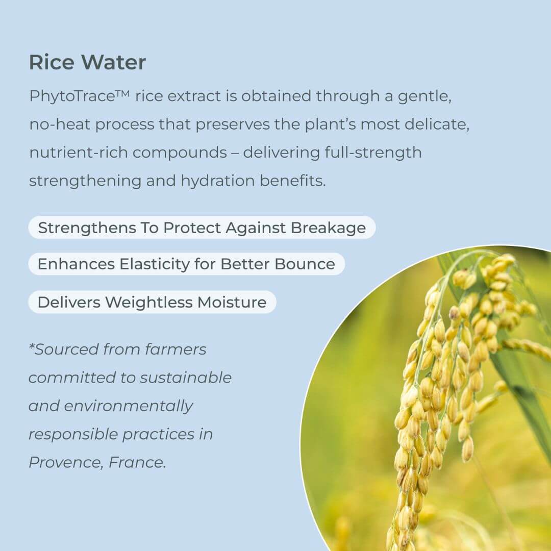 Benefits of rice water in evolvh hair products for curly hair