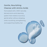 Evolvh Curly hair shampoo gentle, nourishing cleanse with amino acids on a light blue background.