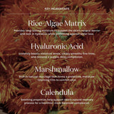 Moisture Milk Deep Hydration Pro-Ceramide + Niacinamide Mist