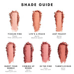 Lily Lolo Pressed Blush Shade guide