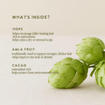 Under Luna Hops Hair serum ingredient benefits