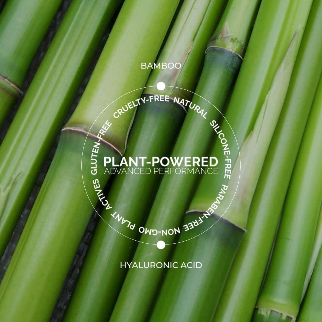 Close-up of green bamboo stalks with text highlighting properties on a white background