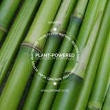 Close-up of green bamboo stalks with text highlighting properties on a white background