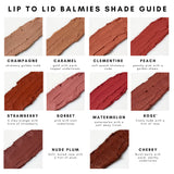 Axiology Lip to Lid Balmie Swatches