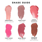 HAN Multistick Swatches shade guide